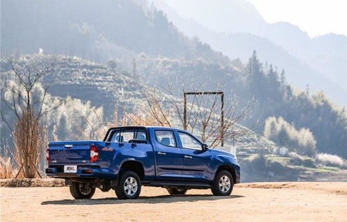 皮卡车哪个牌子好(皮卡车哪个牌子好用并且耐用)