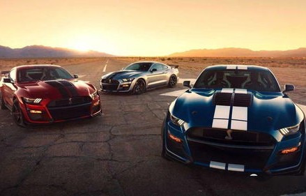 野马gt500眼镜蛇(野马gt500眼镜蛇价位)