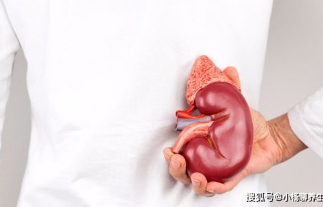 揭秘肾脏健康,六种食物,你或许不知道肾脏很怕