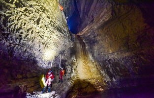 哀牢山科考之旅，鸟语人言的神秘体验