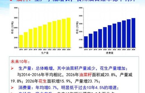 小米报价，深度解析市场趋势与产品价值
