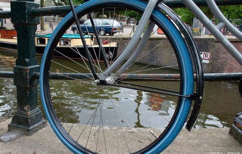 自行车品牌排行榜前十名(折叠自行车品牌排行榜前十名)