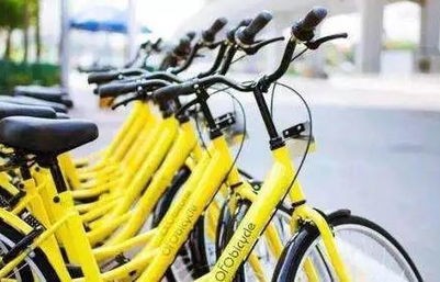 共享单车泛滥之河，每月数百辆的捞金奇景