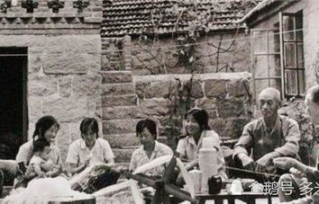 短剧丈夫的反击——83集的精彩纷争