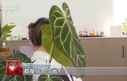央视曝光，网店遭遇水军攻击，两小时损失达11万