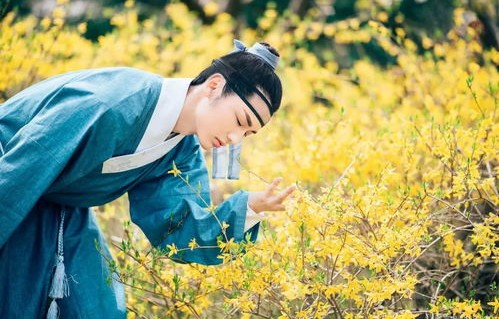 短剧落花时节又逢君——马秋元与厂工大人的85集浪漫之旅