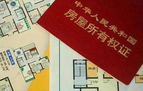 美国有房者与无房者间的财富鸿沟，深度解析与思考