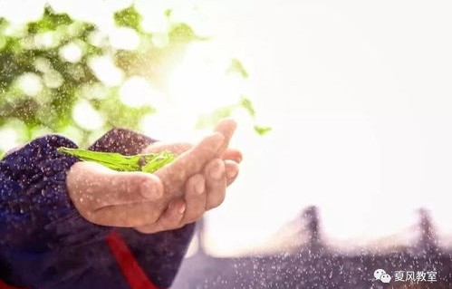 我自盛开，短剧的魅力与影响