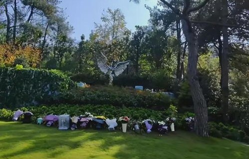 李玟墓地杂草清理记