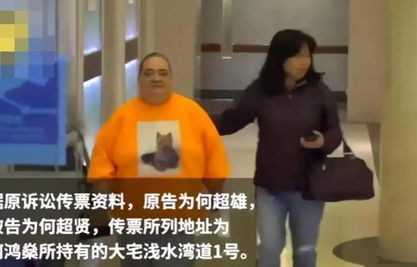 遗产纷争，富商私生女继承风波