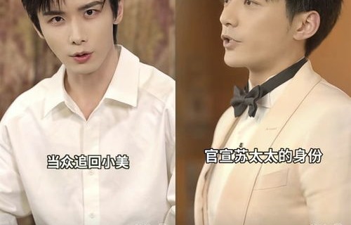 短剧厉总，夫人再婚了——爱情与重生的故事