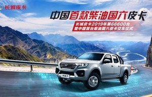 长城风骏7柴油版(长城风骏7柴油版故障灯)