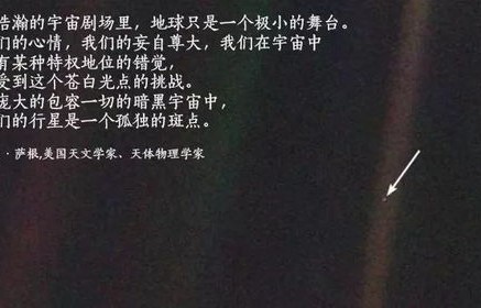 短剧顾总别再说爱我深度解析