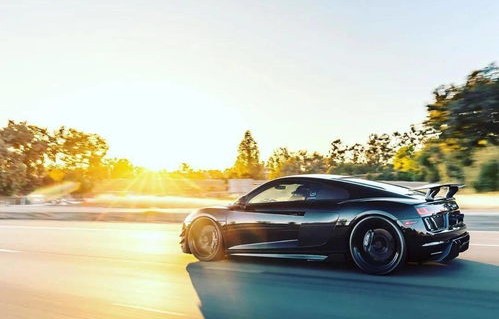 奥迪r8黑武士多少钱一辆(奥迪r8黑武士系列多少钱)