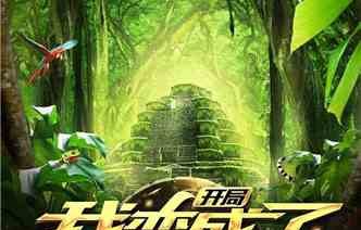 穿越江湖，我是江湖大佬的女人的故事