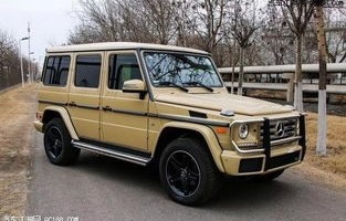 奔驰大g最贵的一款(奔驰大g所有型号)