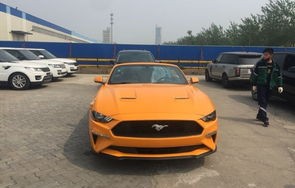 野马mustang官网(野马mustang官网价格)