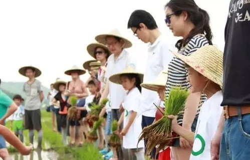 短剧狂野小农民，农村生活的别样风采