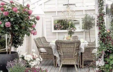 美国网友掀起屋前屋后种菜热潮