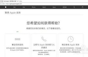 不用电脑恢复停用ipad（不用电脑解除已停用）