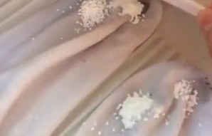 星星之谜，胎记的秘密