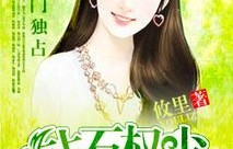 龙少的替身娇妻，一部84集短剧的深度解析