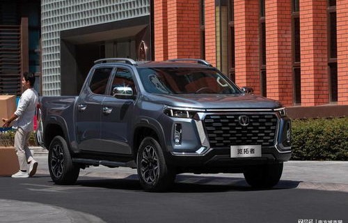 2022年建议买的皮卡车(2022年建议买的皮卡车有哪些)