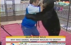 女饲养员勇猛之力，徒手制服巨熊的震撼瞬间