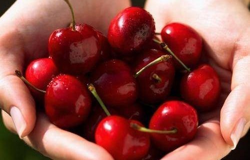 车厘子行业损失59亿，批发商如何回应？