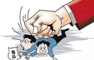 沈阳禁毒大队队长被控走私毒品事件深度剖析