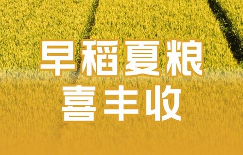 全国秋收近四成，丰收背后的故事与展望