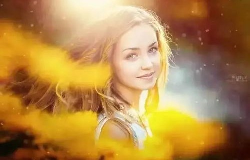 短剧之魅，狐狸的诱惑解读