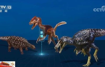 神秘六不像现身云南公路，引动物学界瞩目