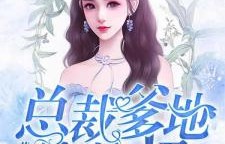 短剧天降萌宝，总裁爹地快接着的魅力与故事