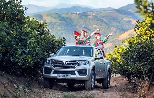 长城风骏5柴油皮卡(长城风骏5柴油皮卡手油泵在哪)