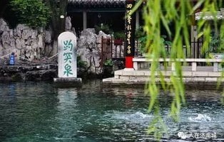 趵突泉的警示，喂食之风需警惕