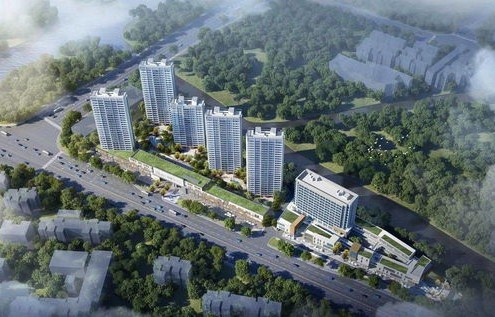 河南小麦病毒大爆发，假象揭秘