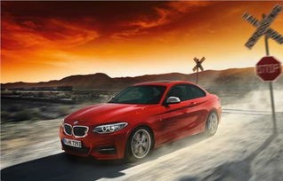 宝马双门轿跑有哪些(宝马双门轿跑车型)