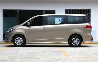 大通g10(大通g10柴油版)