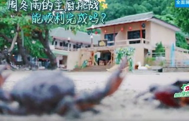 变形计真香哥，从被六所学校开除到自我蜕变的励志故事