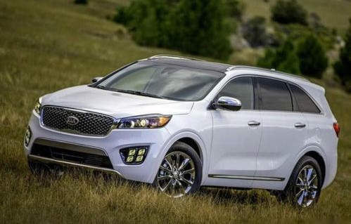 中大型suv排名前十名(中大型suv排名前十名哪款最好)