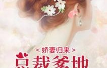 短剧吉祥三宝之总裁爹地超宠妻——90集的甜蜜之旅