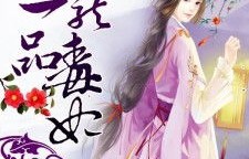 一品毒妃，82集短剧的魅力与深度