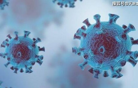 长白山珍稀古树群，自然宝藏的发现与保护