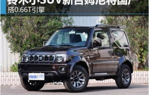 4万元新上市铃木小suv图片(4万元新上市铃木小suv多少钱)