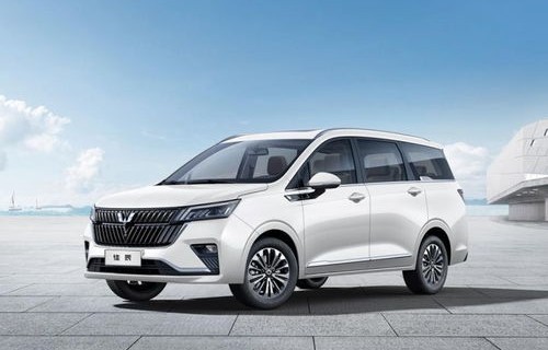 床车最好的mpv车型(五菱旅居车6万元左右)