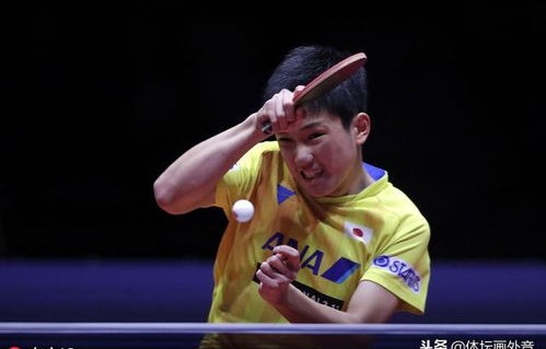 前乒乓球冠军的同情之声，樊振东的挑战与坚韧