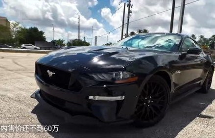 蛇标野马多少钱一辆(蛇标野马多少钱一台)