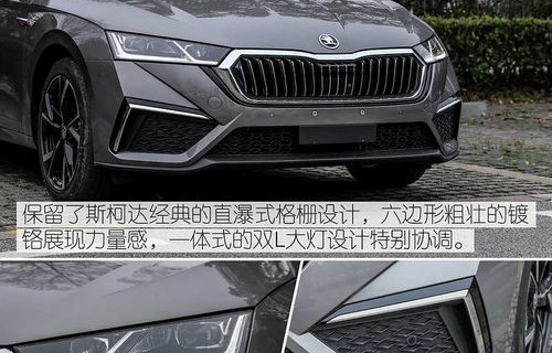 09款斯柯达明锐能买吗(09款斯柯达明锐能买吗值得买吗)