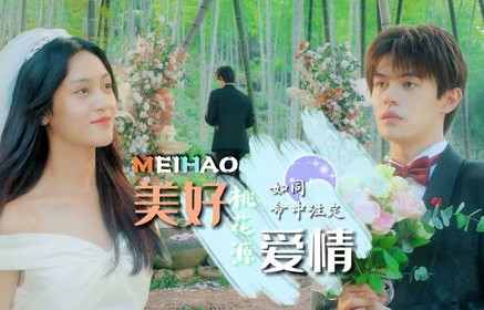 命中注定之短剧闪婚幸运草，82集的浪漫之旅